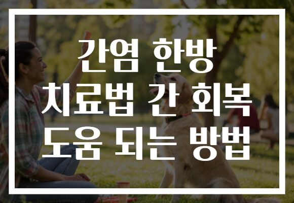 간염 한방 치료법 간 회복 도움 되는 방법
