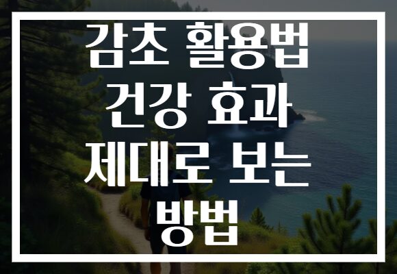 감초 활용법 건강 효과 제대로 보는 방법