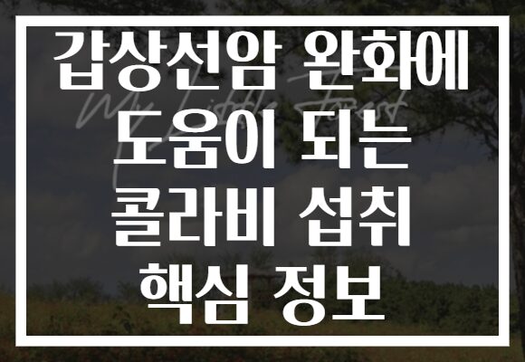 갑상선암 완화에 도움이 되는 콜라비 섭취 핵심 정보