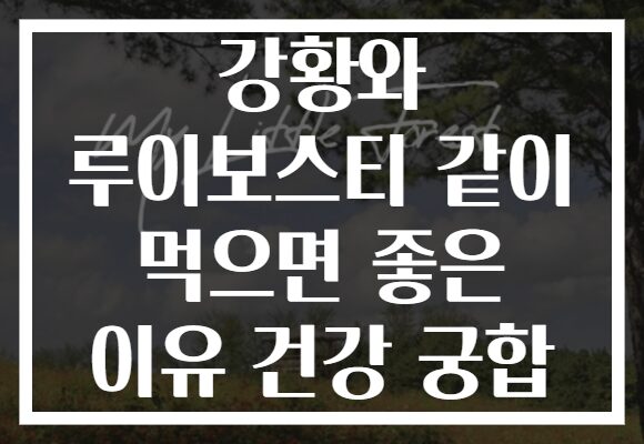 강황와 루이보스티 같이 먹으면 좋은 이유 건강 궁합