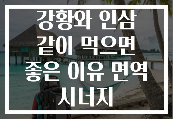 강황와 인삼 같이 먹으면 좋은 이유 면역 시너지