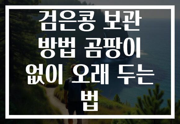 검은콩 보관 방법 곰팡이 없이 오래 두는 법