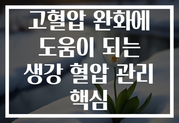 고혈압 완화에 도움이 되는 생강 혈압 관리 핵심