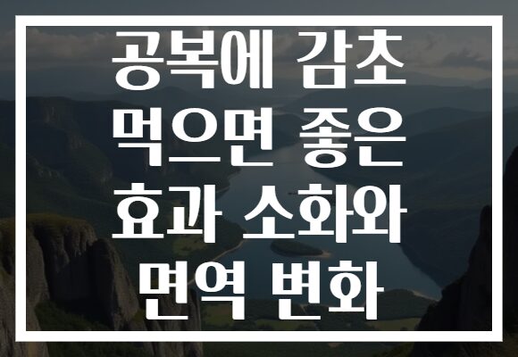 공복에 감초 먹으면 좋은 효과 소화와 면역 변화