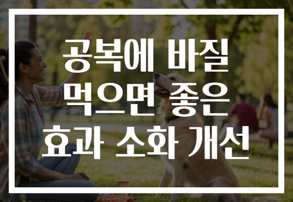 공복에 바질 먹으면 좋은 효과 소화 개선