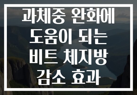 과체중 완화에 도움이 되는 비트 체지방 감소 효과