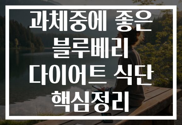 과체중에 좋은 블루베리 다이어트 식단 핵심정리
