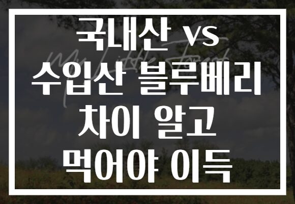 국내산 vs 수입산 블루베리 차이 알고 먹어야 이득