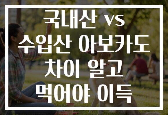국내산 vs 수입산 아보카도 차이 알고 먹어야 이득