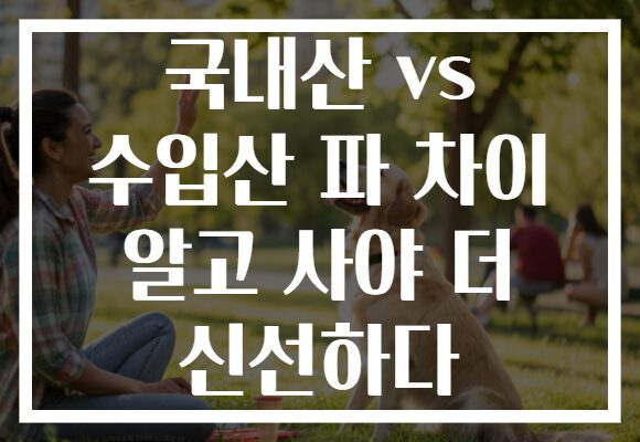 국내산 vs 수입산 파 차이 알고 사야 더 신선하다