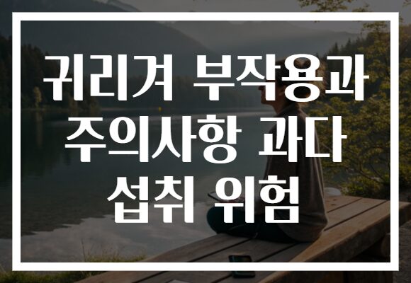 귀리겨 부작용과 주의사항 과다 섭취 위험
