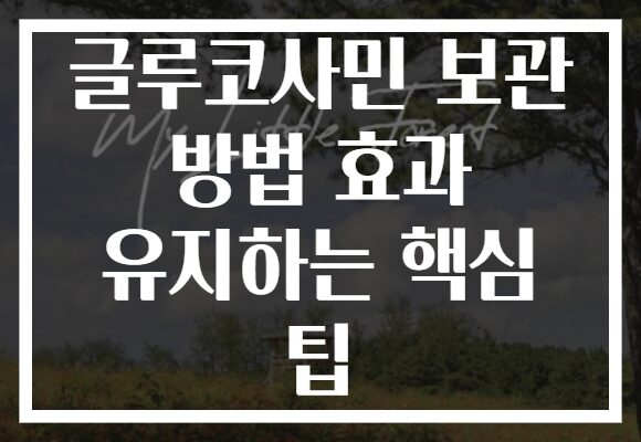 글루코사민 보관 방법 효과 유지하는 핵심 팁