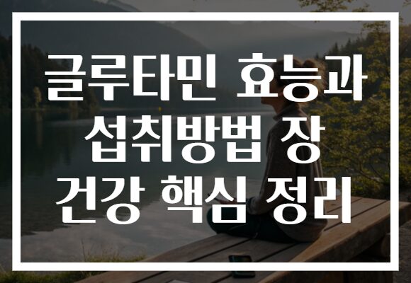 글루타민 효능과 섭취방법 장 건강 핵심 정리