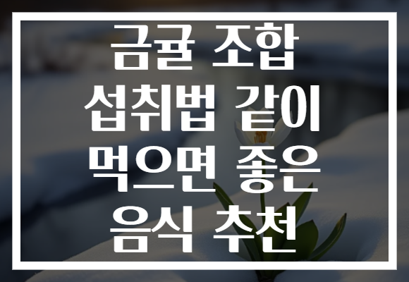 금귤 조합 섭취법 같이 먹으면 좋은 음식 추천