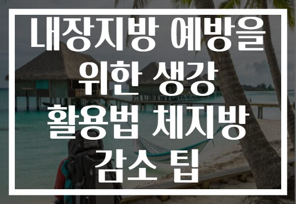 내장지방 예방을 위한 생강 활용법 체지방 감소 팁