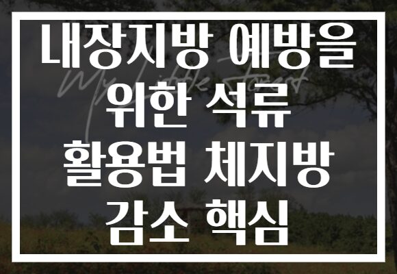 내장지방 예방을 위한 석류 활용법 체지방 감소 핵심