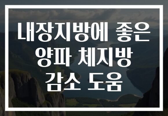 내장지방에 좋은 양파 체지방 감소 도움