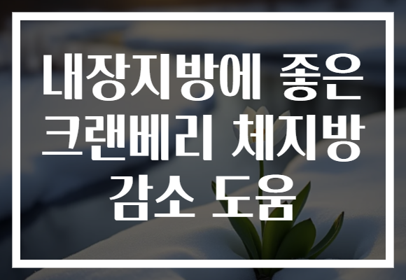 내장지방에 좋은 크랜베리 체지방 감소 도움