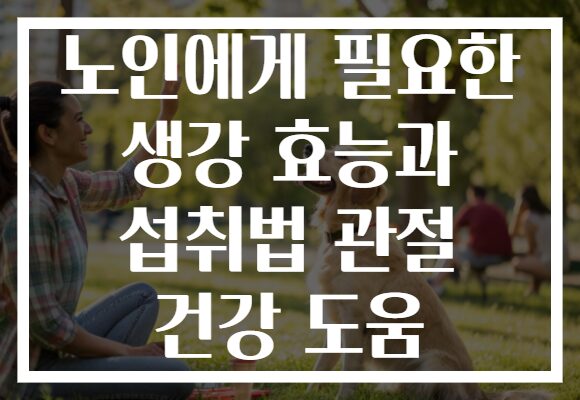노인에게 필요한 생강 효능과 섭취법 관절 건강 도움