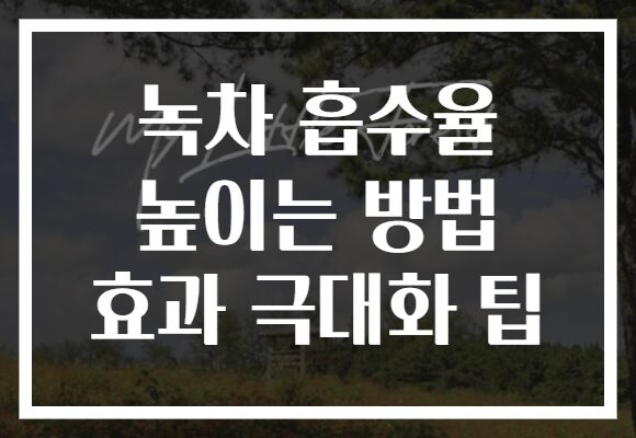 녹차 흡수율 높이는 방법 효과 극대화 팁