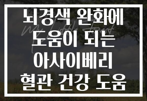 뇌경색 완화에 도움이 되는 아사이베리 혈관 건강 도움