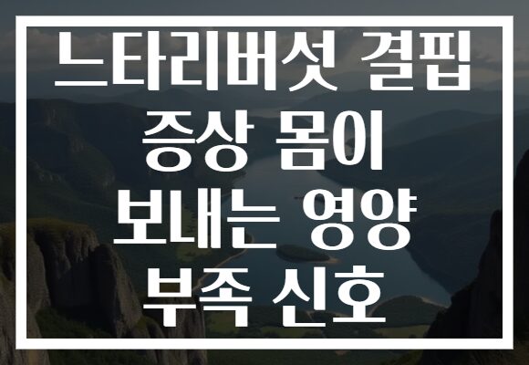 느타리버섯 결핍 증상 몸이 보내는 영양 부족 신호