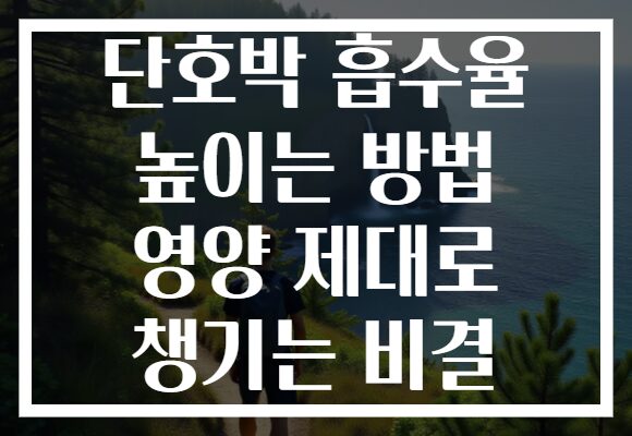 단호박 흡수율 높이는 방법 영양 제대로 챙기는 비결
