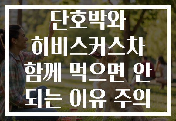 단호박와 히비스커스차 함께 먹으면 안 되는 이유 주의