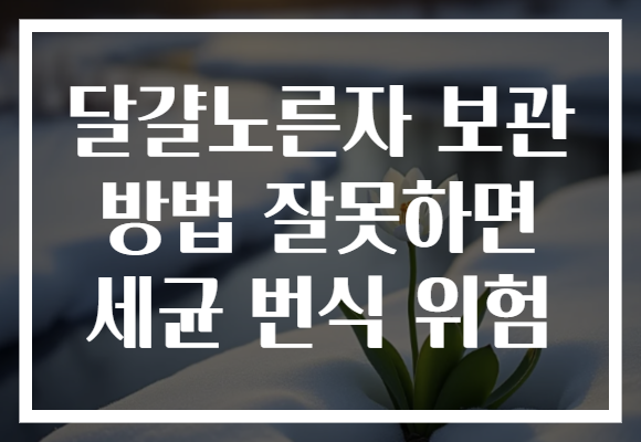 달걀노른자 보관 방법 잘못하면 세균 번식 위험