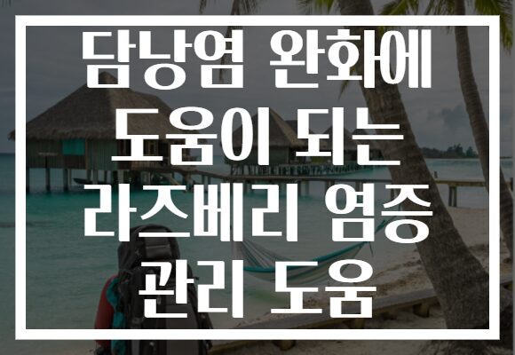 담낭염 완화에 도움이 되는 라즈베리 염증 관리 도움