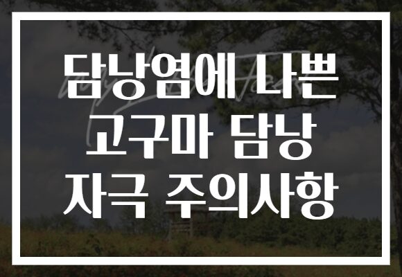 담낭염에 나쁜 고구마 담낭 자극 주의사항