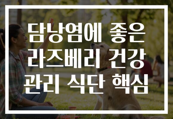 담낭염에 좋은 라즈베리 건강 관리 식단 핵심