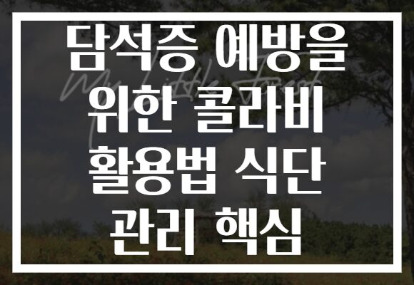 담석증 예방을 위한 콜라비 활용법 식단 관리 핵심