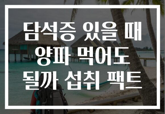 담석증 있을 때 양파 먹어도 될까 섭취 팩트