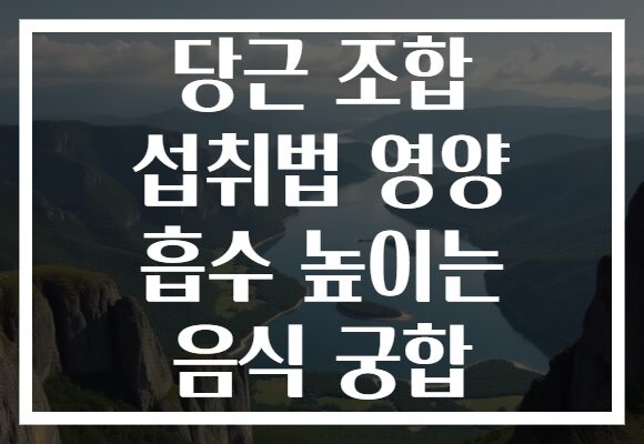 당근 조합 섭취법 영양 흡수 높이는 음식 궁합