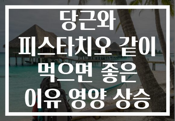 당근와 피스타치오 같이 먹으면 좋은 이유 영양 상승