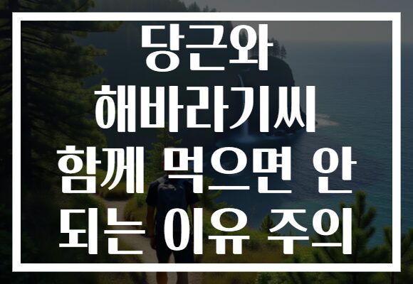 당근와 해바라기씨 함께 먹으면 안 되는 이유 주의