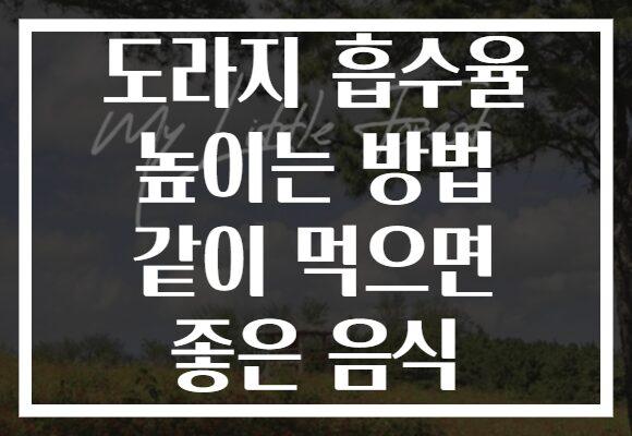 도라지 흡수율 높이는 방법 같이 먹으면 좋은 음식