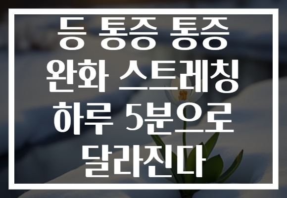 등 통증 통증 완화 스트레칭 하루 5분으로 달라진다