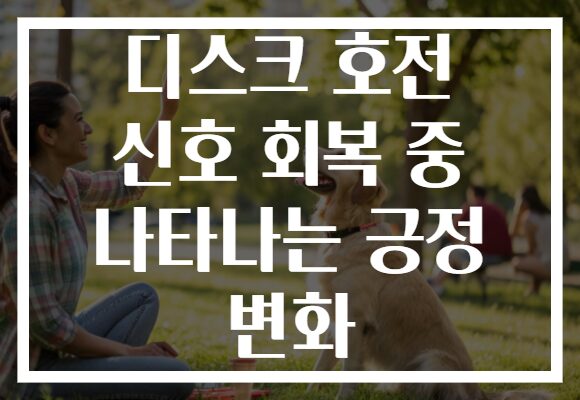 디스크 호전 신호 회복 중 나타나는 긍정 변화