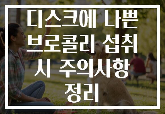 디스크에 나쁜 브로콜리 섭취 시 주의사항 정리