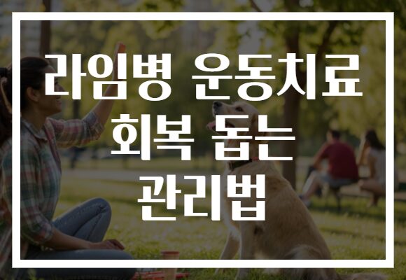 라임병 운동치료 회복 돕는 관리법