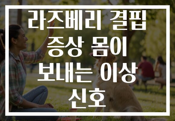 라즈베리 결핍 증상 몸이 보내는 이상 신호