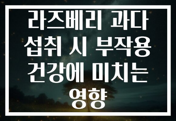 라즈베리 과다 섭취 시 부작용 건강에 미치는 영향