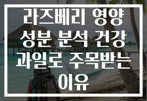 라즈베리 영양 성분 분석 건강 과일로 주목받는 이유