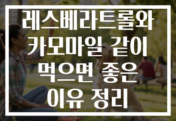 레스베라트롤와 카모마일 같이 먹으면 좋은 이유 정리