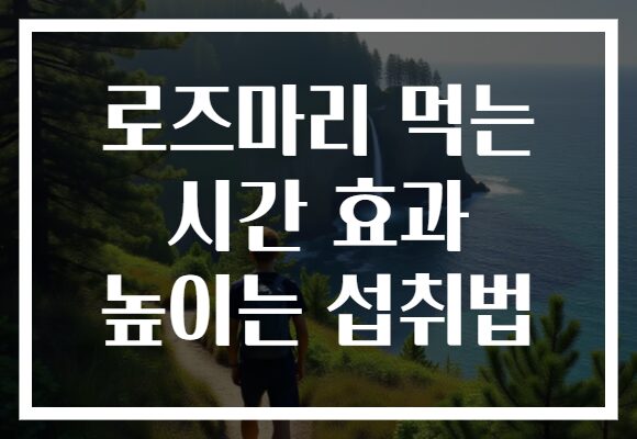 로즈마리 먹는 시간 효과 높이는 섭취법