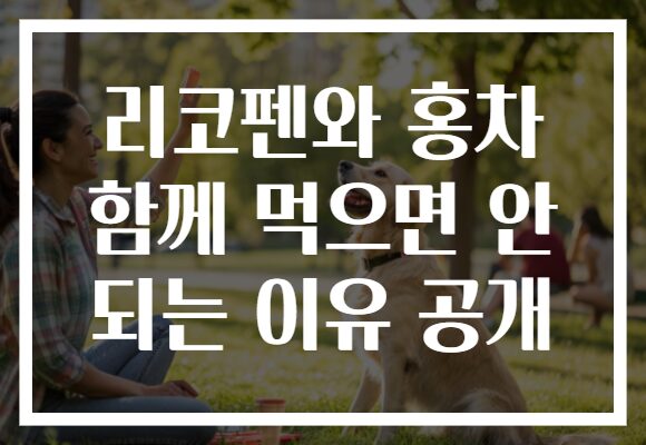 리코펜와 홍차 함께 먹으면 안 되는 이유 공개