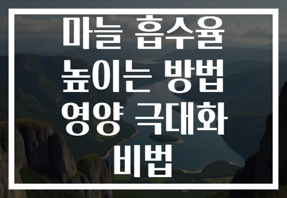 마늘 흡수율 높이는 방법 영양 극대화 비법