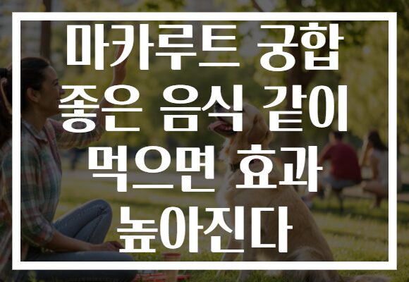 마카루트 궁합 좋은 음식 같이 먹으면 효과 높아진다